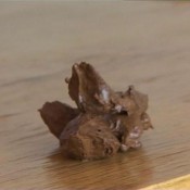 kaviar amateur no.50 sg-video