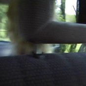 sperrgebiet no.37 - scene 2 sg-video