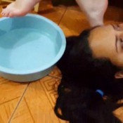 lets do a pedicure mffetish