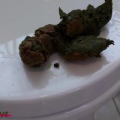 filthyskye taking another huge poop on my toilet seat!