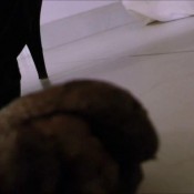 joy angeles november 2014 fay1