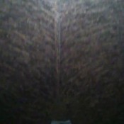 ultimate fart compilation pt 3 hd mistress erin