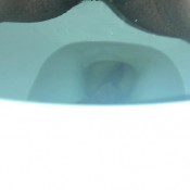 poop4cute sept 27 2020