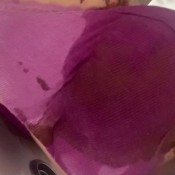 your place in my shit hd The fart babes