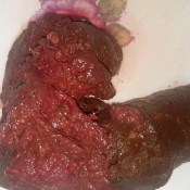 devoted poop slave hd The fart babes