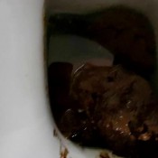 painful huge shit hd the fart babes