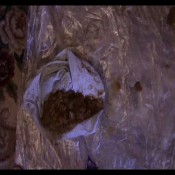 3 pairs of nylons The fart babes