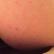 short poop diary hd evakokoro