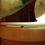 super toilet bowl 53 goddesskinkycaramel