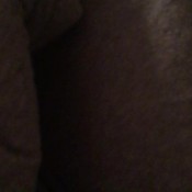 fart compilation!fartcompilation! sexyscatforyou