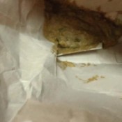 shit in a bag and shook it! hd marinayam19