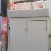 lucy sunflower scat standing up