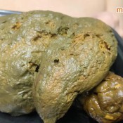 you`re a pathetic human toilet hd marinayam19