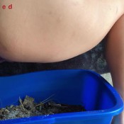 cat poops in litter box hd marinayam19