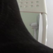 nikki shits for dave hd