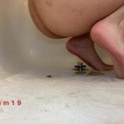 coffee enema #2 hd marinayam19