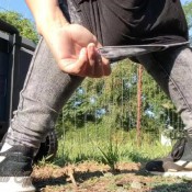 bambi snow backyard shit