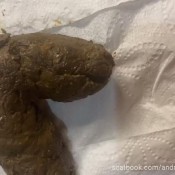 andromeda galactea front poop