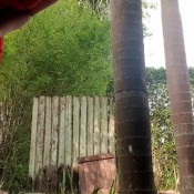 littlemisskinky desperate poop