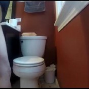 david236 plate filler mufasa full uncut version