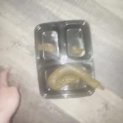 quick shit on a plate samantha deep_impact1