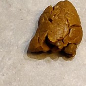 blooper pooper pt3 thick log falls off the toilet seat kitty skatt