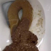 pulsiferpaprocki desperate to shit pulsifer paprocki