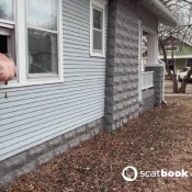 pulsiferpaprocki dog poop payback pulsifer paprocki