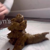 anal fingering and big pile brooklyns bottom brooklyn bailey