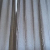 chicagodomme bowel and movement