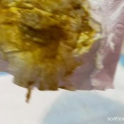 big poo in doggy style ella_clark26