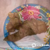 Pulsiferpaprocki Post-easter Shit - Over A Pound Pulsifer Paprocki