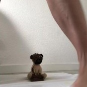 laracruz cagando un perrito de peluche lara cruz