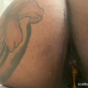 shittykitty21 shitty bounce! --