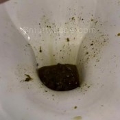 Smutty_luce Another One Of Those Days Smutty Luce Smutty_ Luce