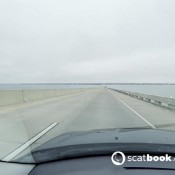 freckledred_ painfully desperate to shit