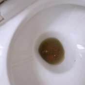 I Cannot Hold On Anymore, I Poop In My Yoga Pants. Naomibobba