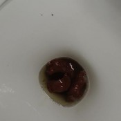 Closeup Ebony Bowlcam Amysinclair