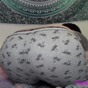 I Wear My Favourite Loose Pajama.stick My Ass In Front Of You And Fart. Paulinemaxx Pauline Maxx
