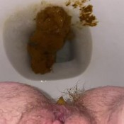 Yourfavoritefartgirl Hangover Shit-