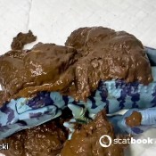 Pulsiferpaprocki Velociraptor Shit Pulsifer Paprocki