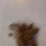 Shall We Look For The Remains Of What I Ate In My Poop Sexysweatsessions