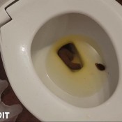 First Morning Shit Awaits You Blond Blaster Madison Stone