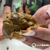 Niquenasty You Really Want It