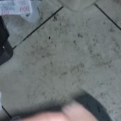 Yamilethramirez Mi Novio Exitado Me Graba Cagando Y Me Pone A Chuparsela