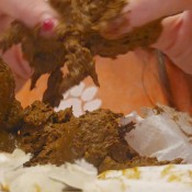 My Tasty Urge Princessbabyluna