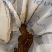 Iamkapri 2 For 1 Solo Masturbation And Massive Shit In Trash Can Kapri Styles