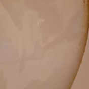 Scat 095 Shit In Bar Sweet_lily_84