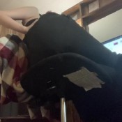 Mariethegasqueen Pov Youe Small Watching Me Smoke While I Blow Gas In Your Direction