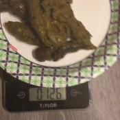 Deep_impact Weigh It